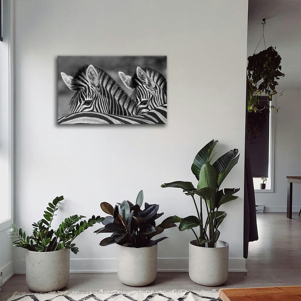 - Tableau impression sur toile crinières bicolores 60x90cm