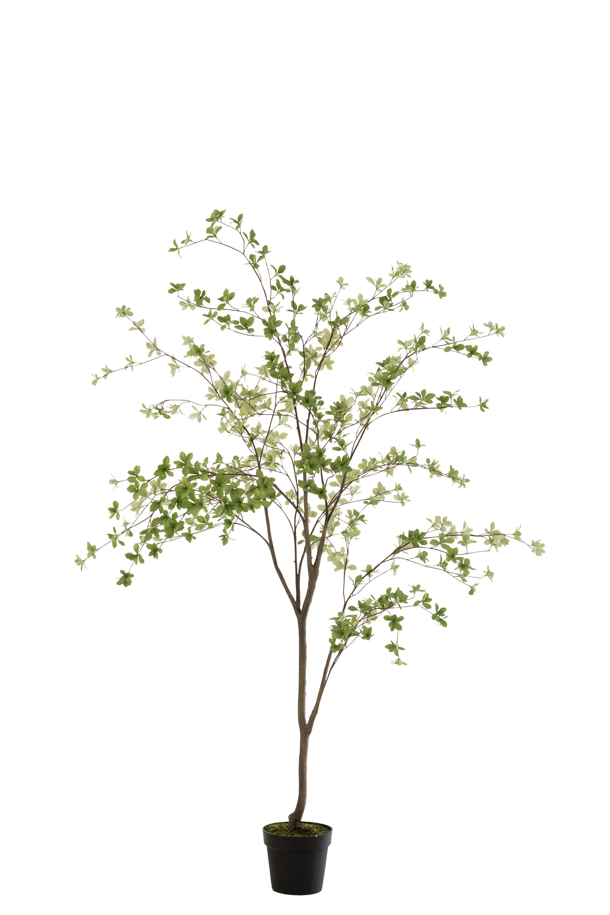 J-Line plant Fijne Blaadjes - kunststof - groen zwart