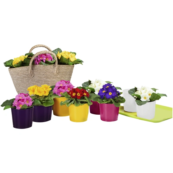 Frühlingstopf »SPRING«, Höhe: 10,5 cm, pink, Keramik