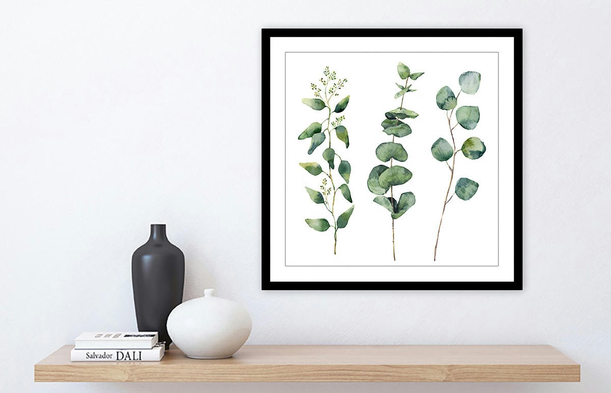 - Affiche aquarelle eucalyptus avec cadre noir 50x50cm
