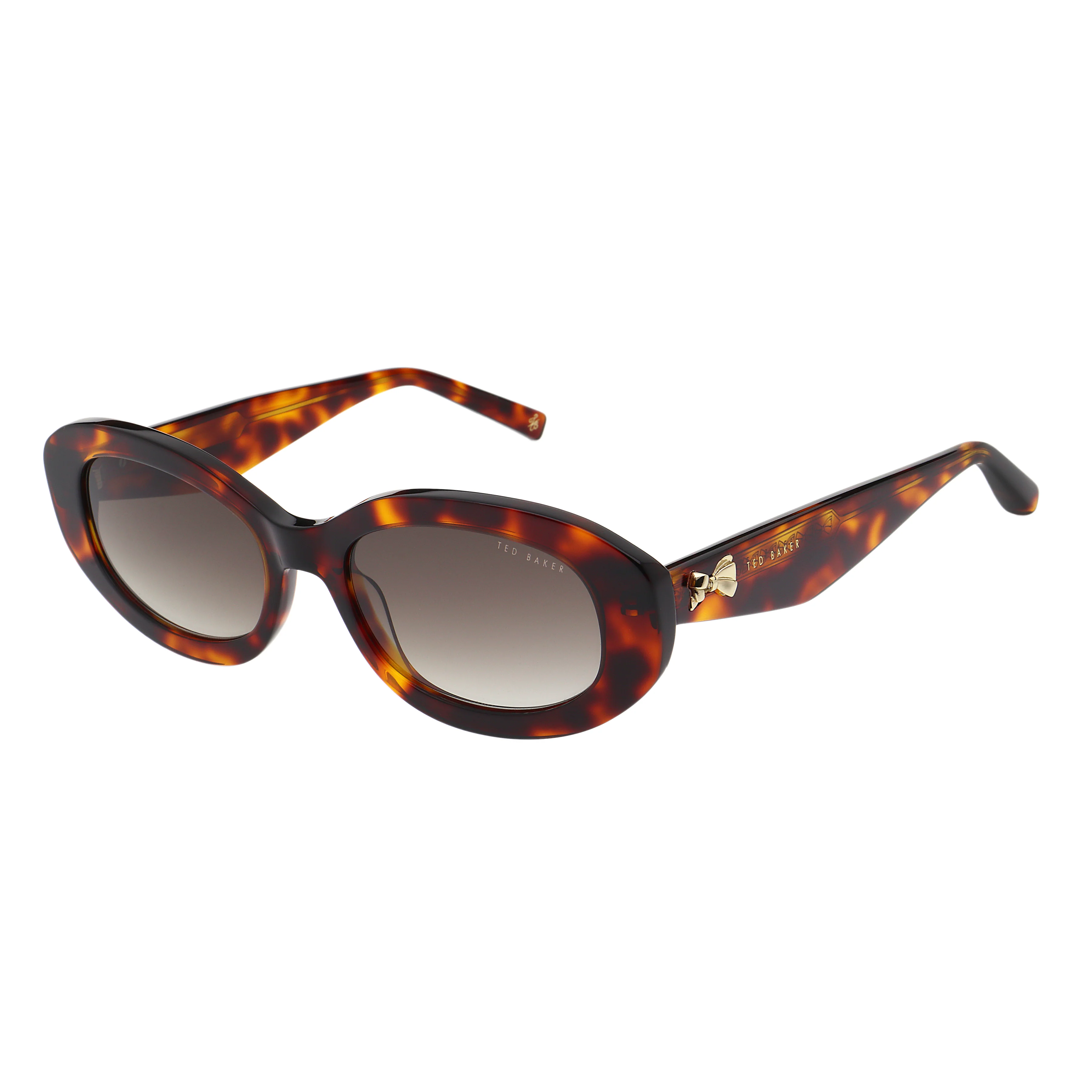 DAISIE | TORTOISESHELL