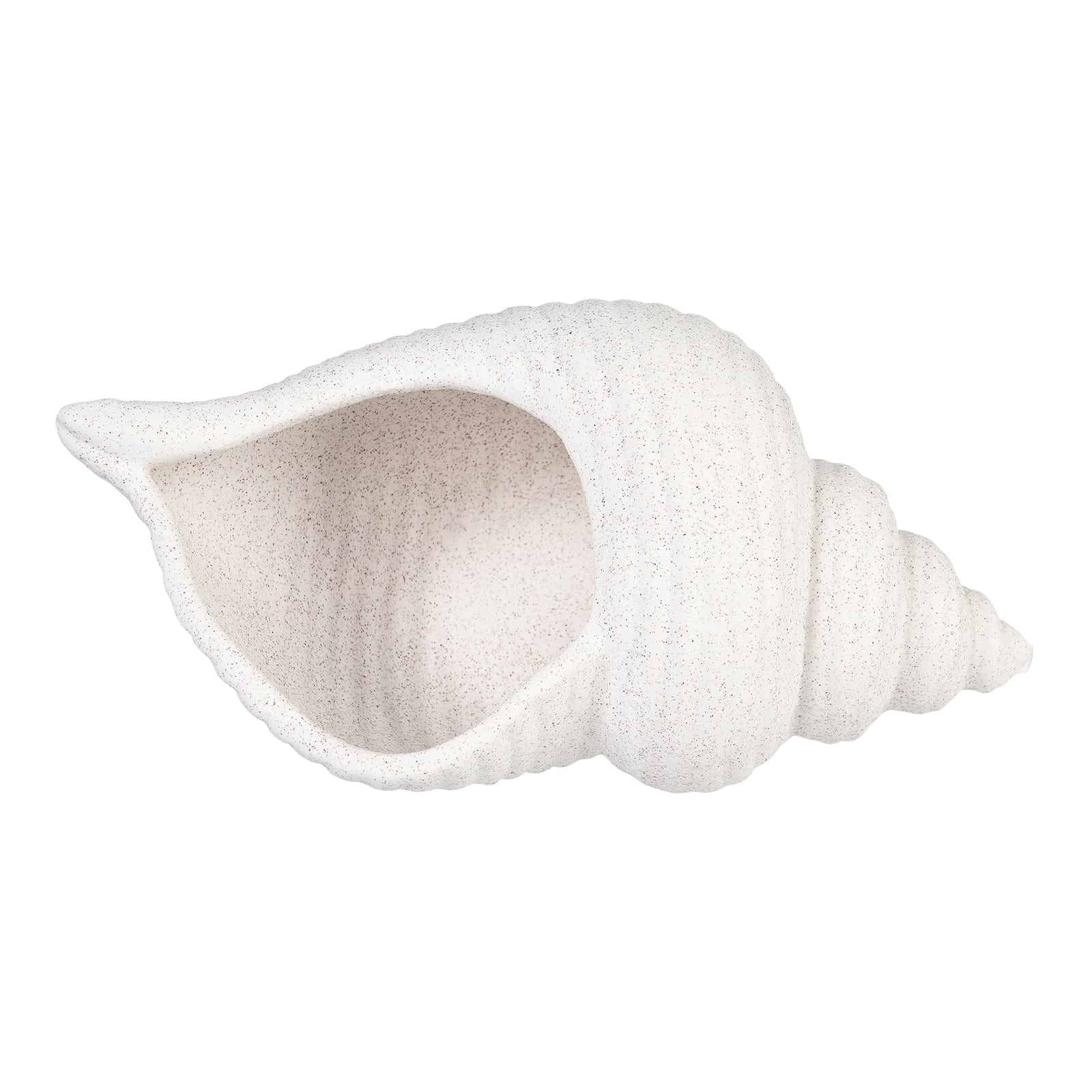 Deko-Objekt Muschel Creme,B 300 x H 120 x T 165 mm