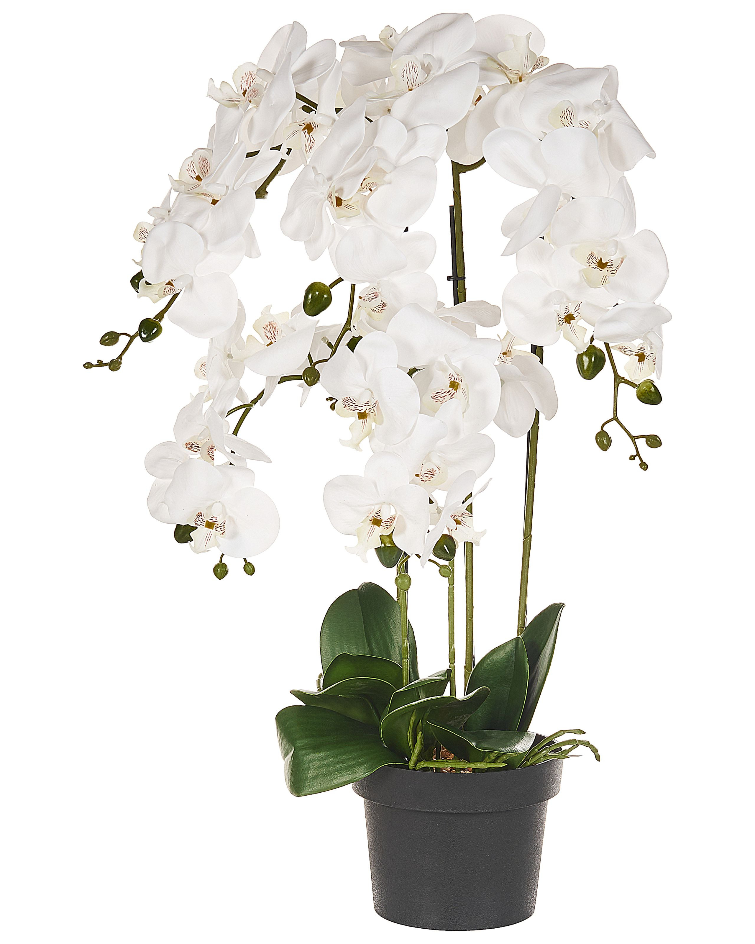 Sztuczna roślina biała orchidea w doniczce 63 cm