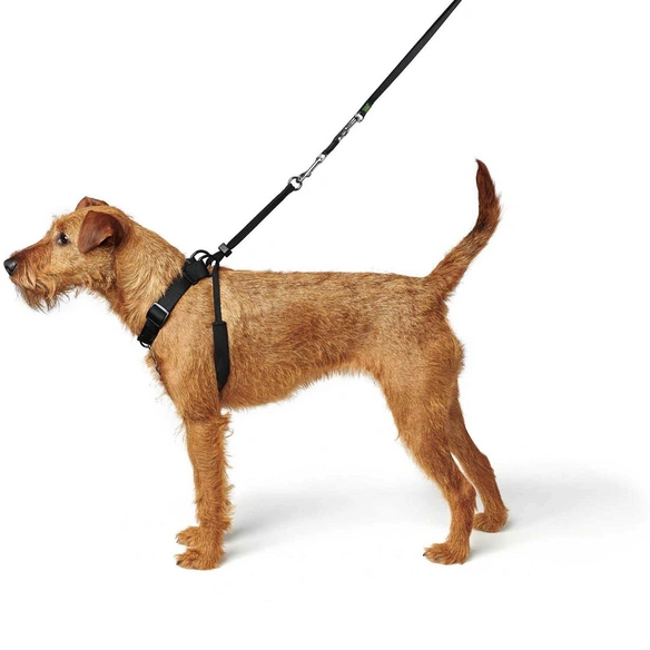 Hunde-Geschirr, S-M, Nylon, schwarz