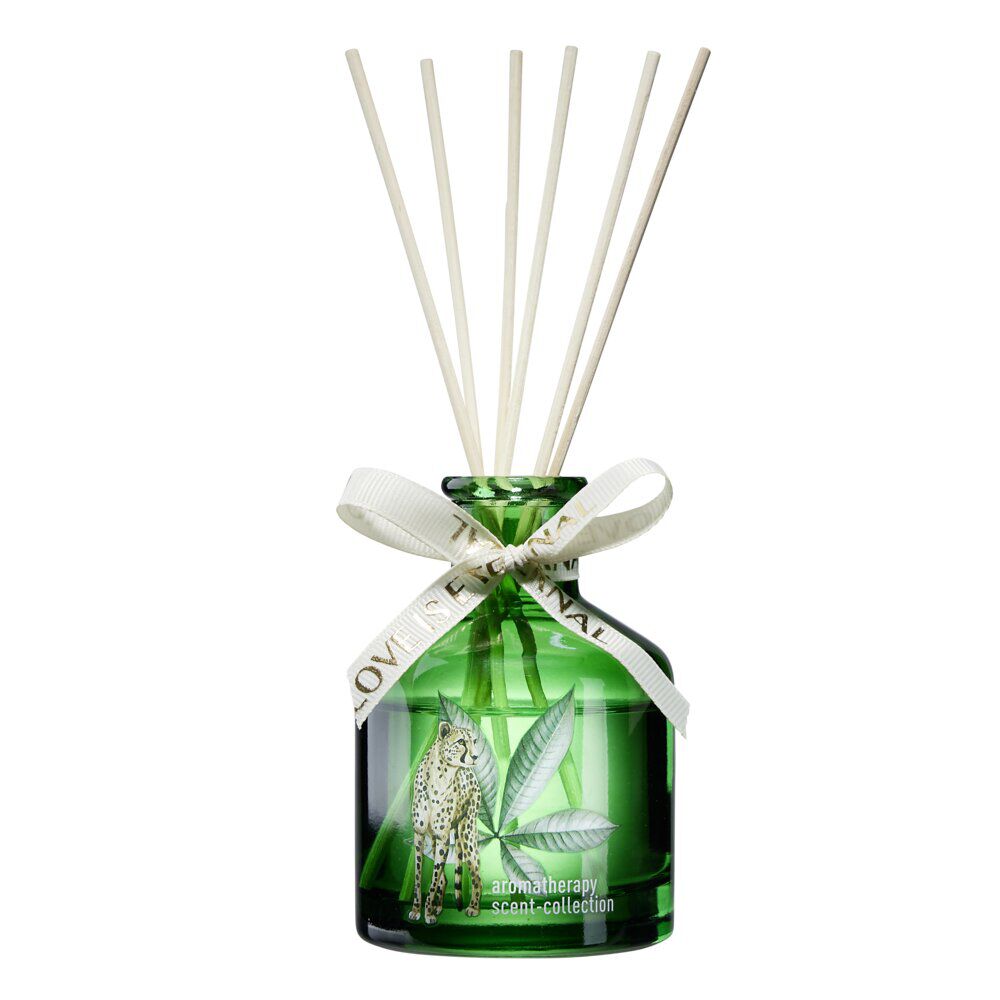 Diffuseur de senteur à bâtonnets bouteille verre colorée Ø7xH10cm (3 modèles)