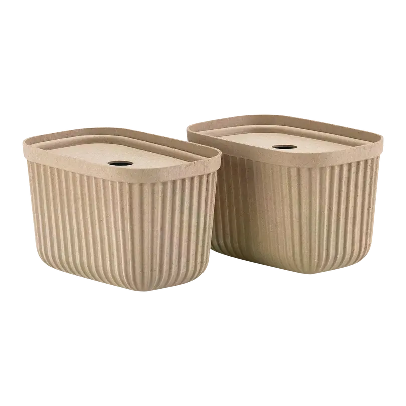 Aufbewahrungsbox Zone Pulp