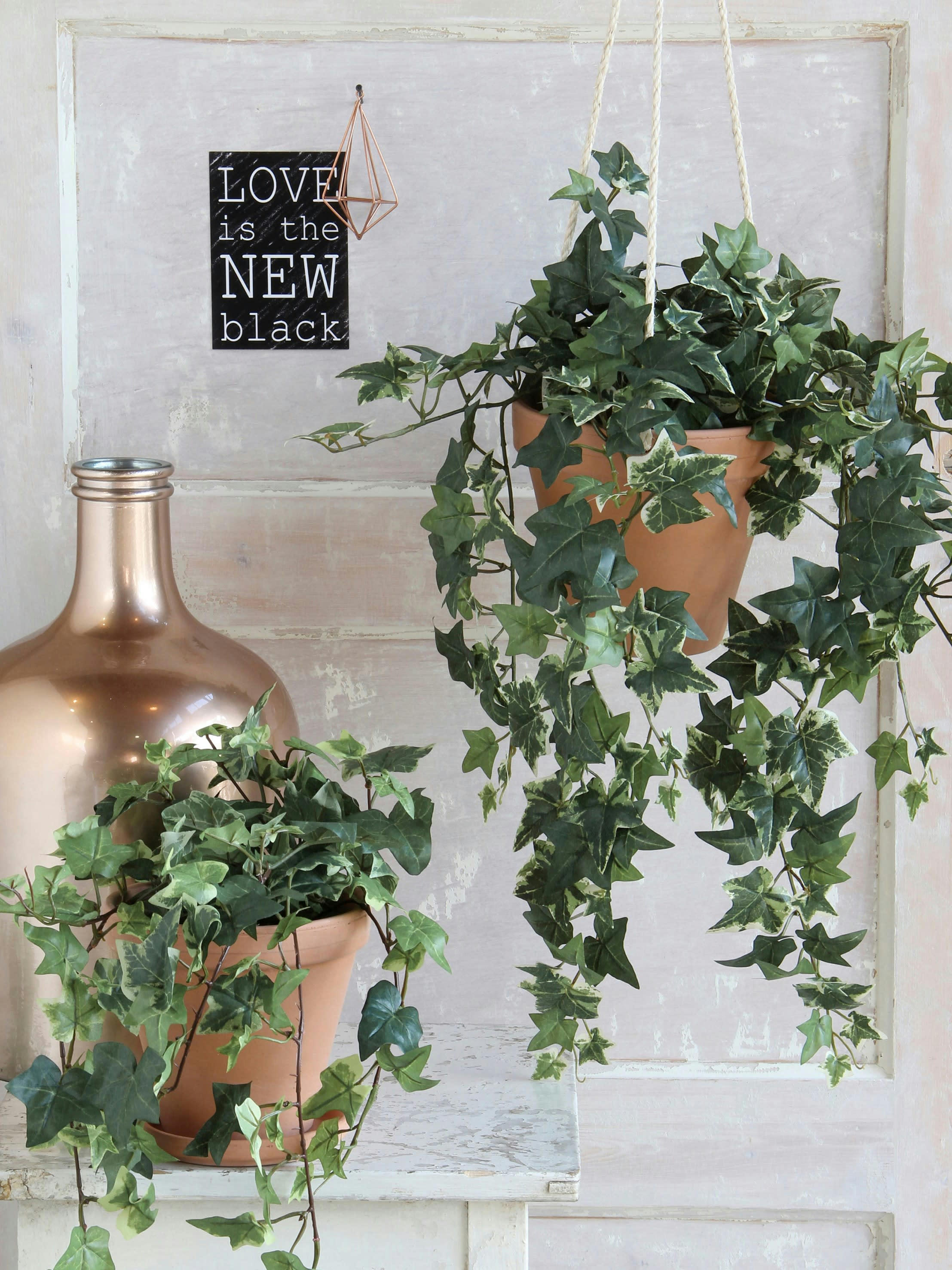 - Hedera artificielle suspendu varié en pot