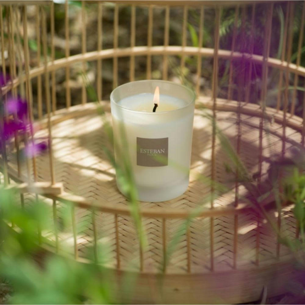 JASMIN D’ÉTÉ - Bougie parfumée rechargeable 180g