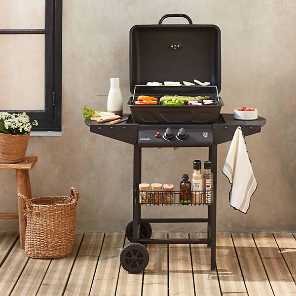 Barbecue au Gaz 2 Bruleurs avec Tablettes Laterales et Thermometre