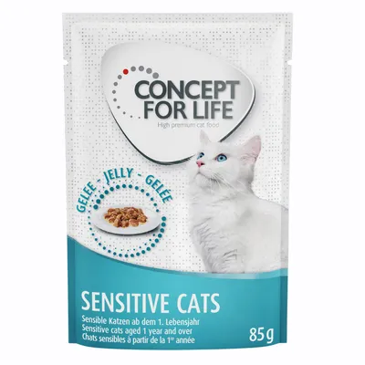 Concept for Life Sensitive Cats