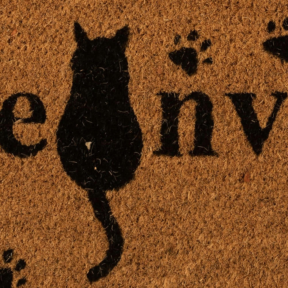 - Paillasson chat 59x39,5cm