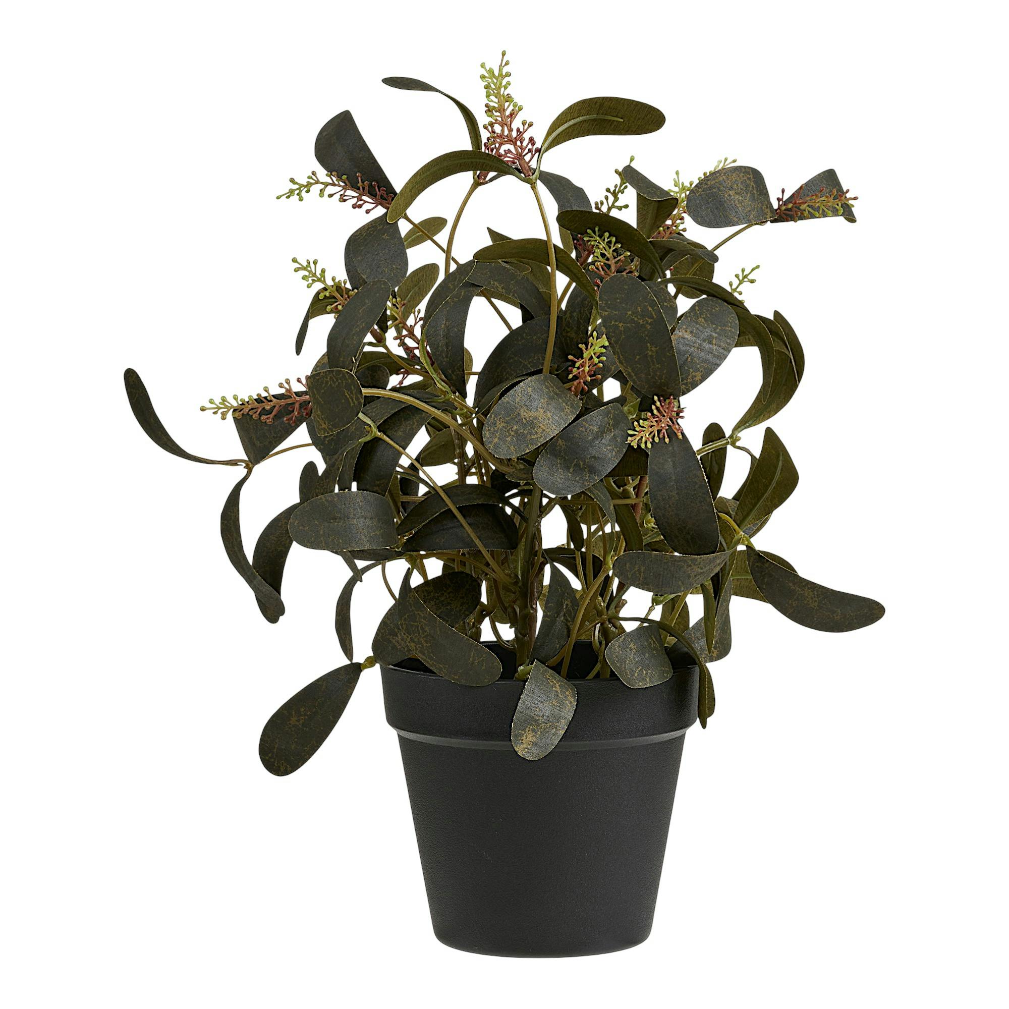 Plante artificielle skimmia en pot