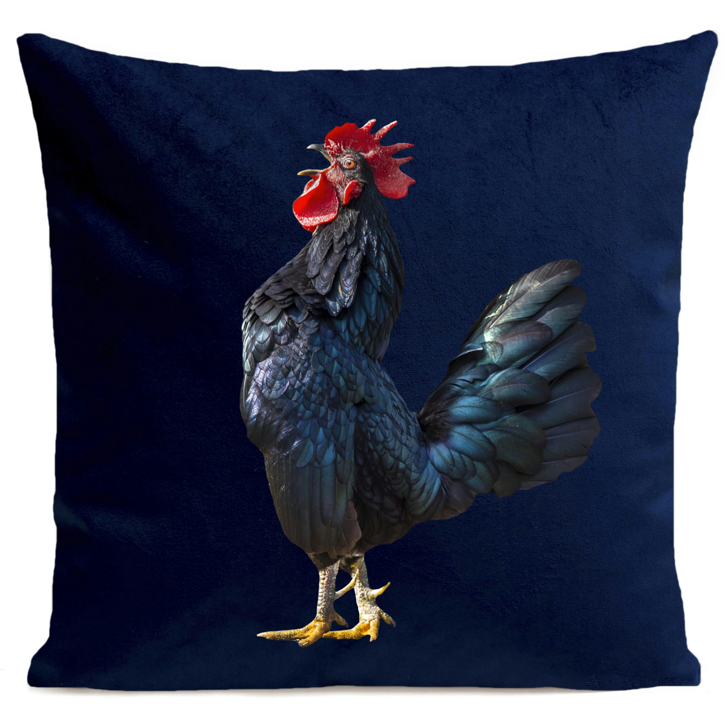 - Coussin campagne coq bleu suédine 40x40cm