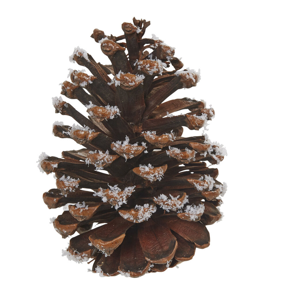 Pomme de pin de No&euml;l à suspendre marron