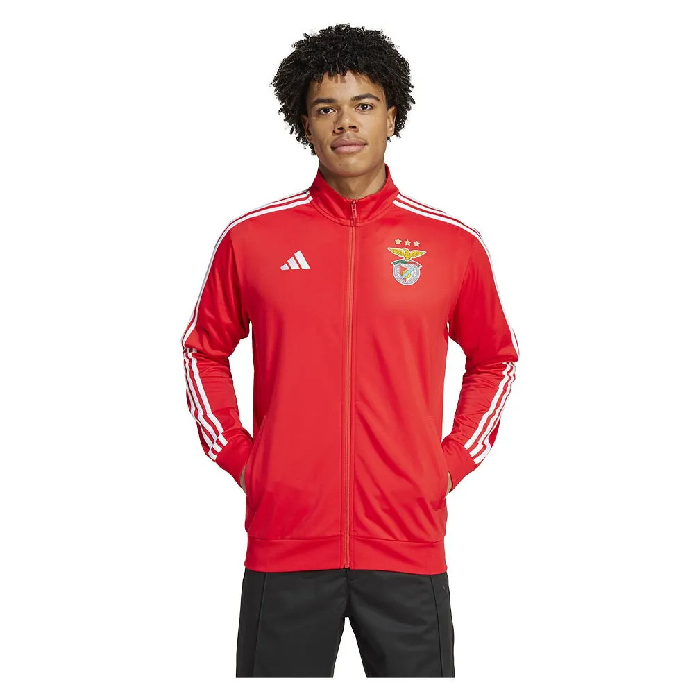 adidas Benfica 24/25 DNA tracksuit jacket