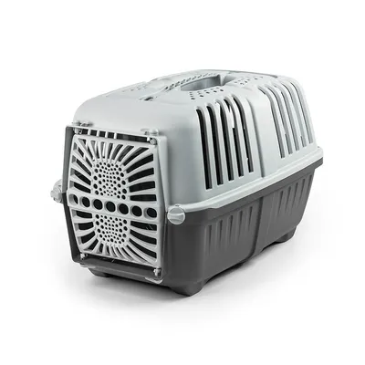 Lionto Transport Box Made of Plastic - Anthracite