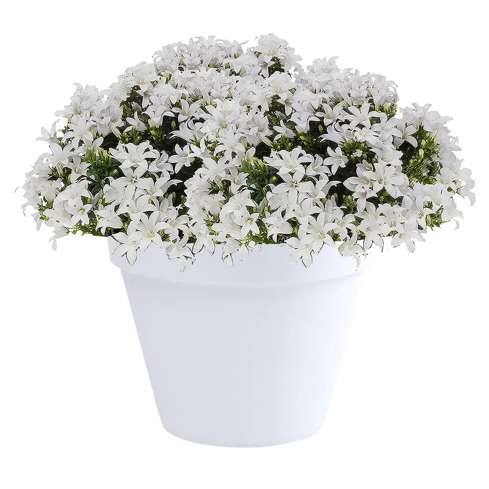 EDA Toscane Bloempot - kunststof - wit - D40 x H32 cm