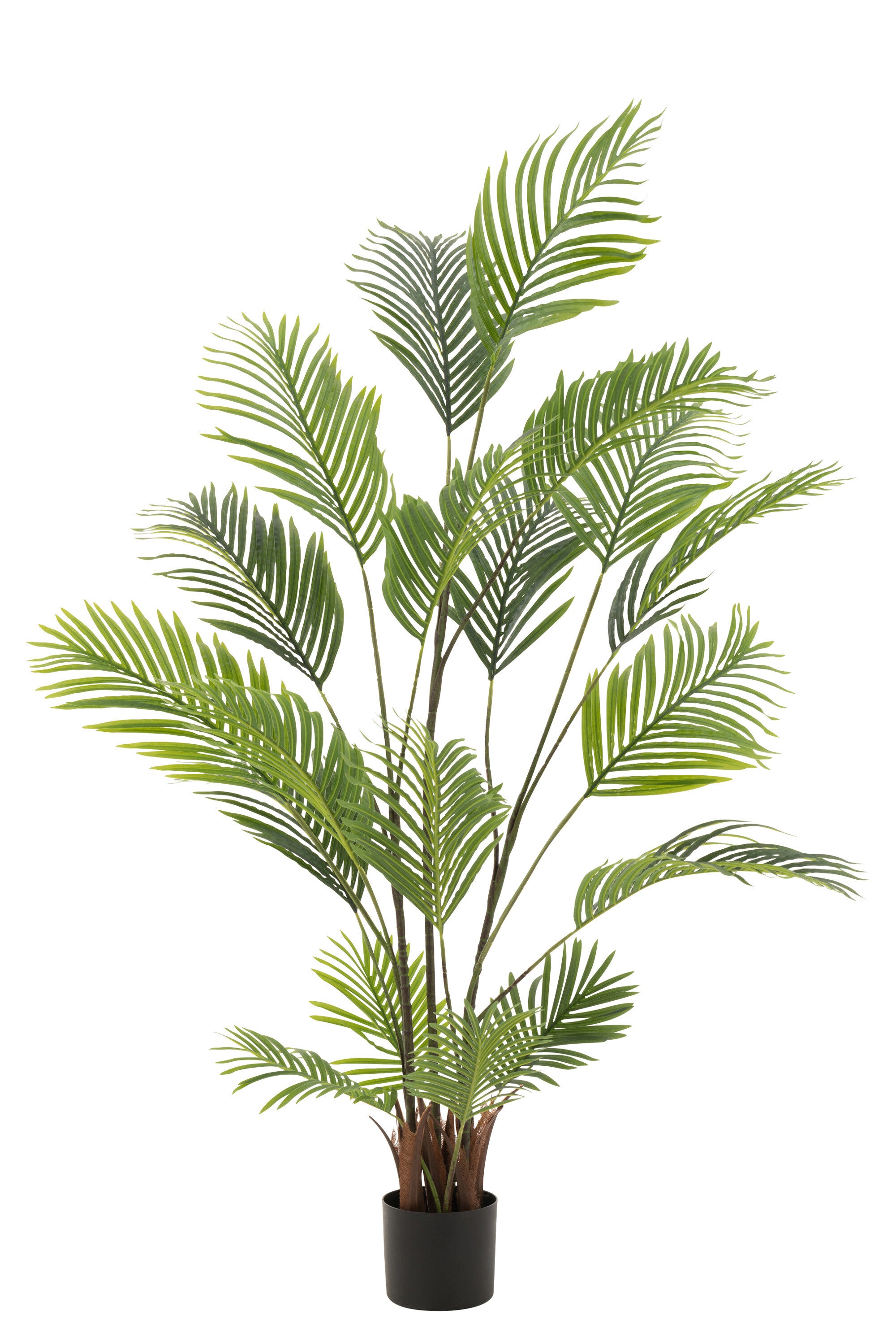 J-Line plant Parel Palmboom In Pot - kunststof - groen