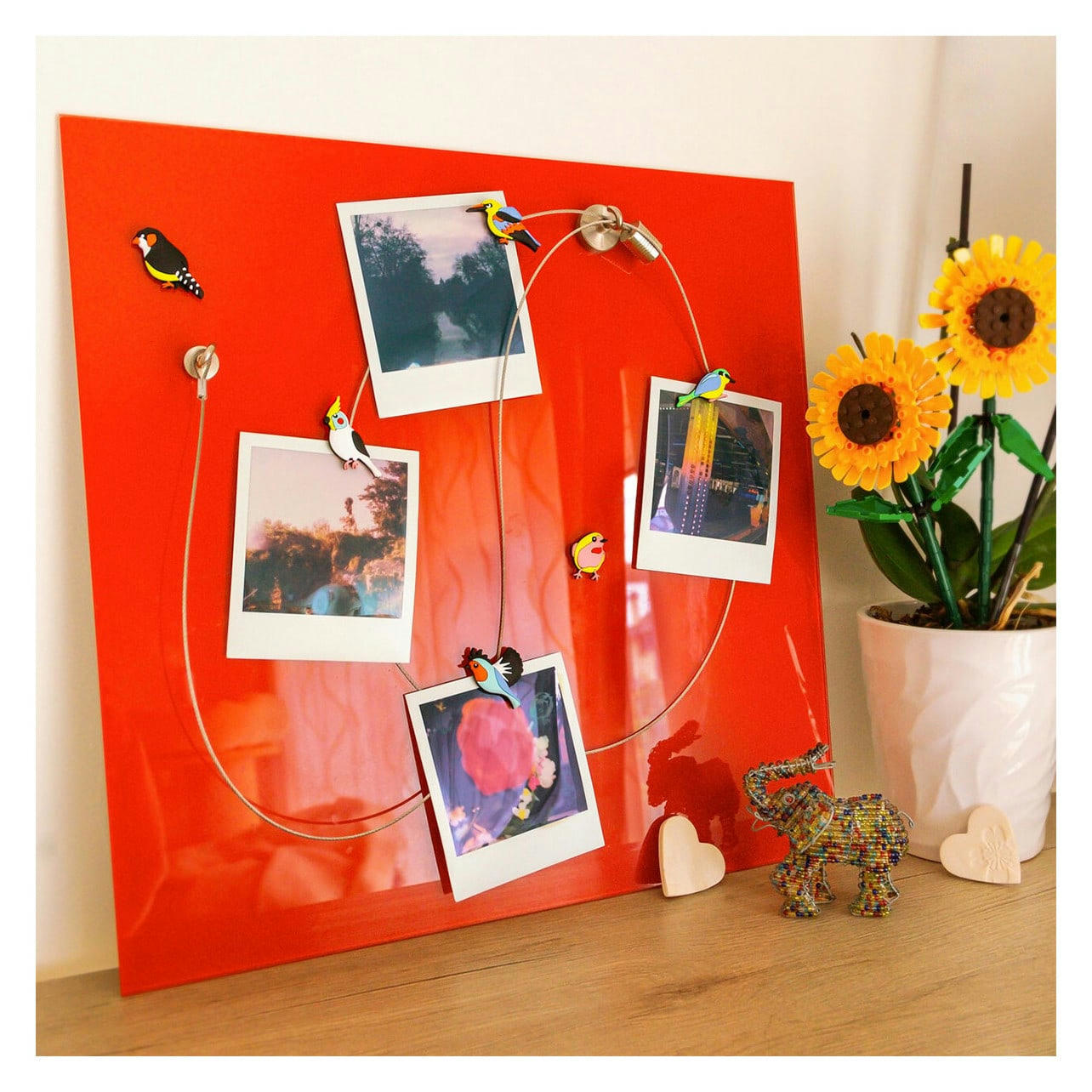 - Câble porte photos et magnets