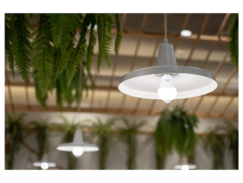 Żarówka Erste LED E27 12W z barwą białą