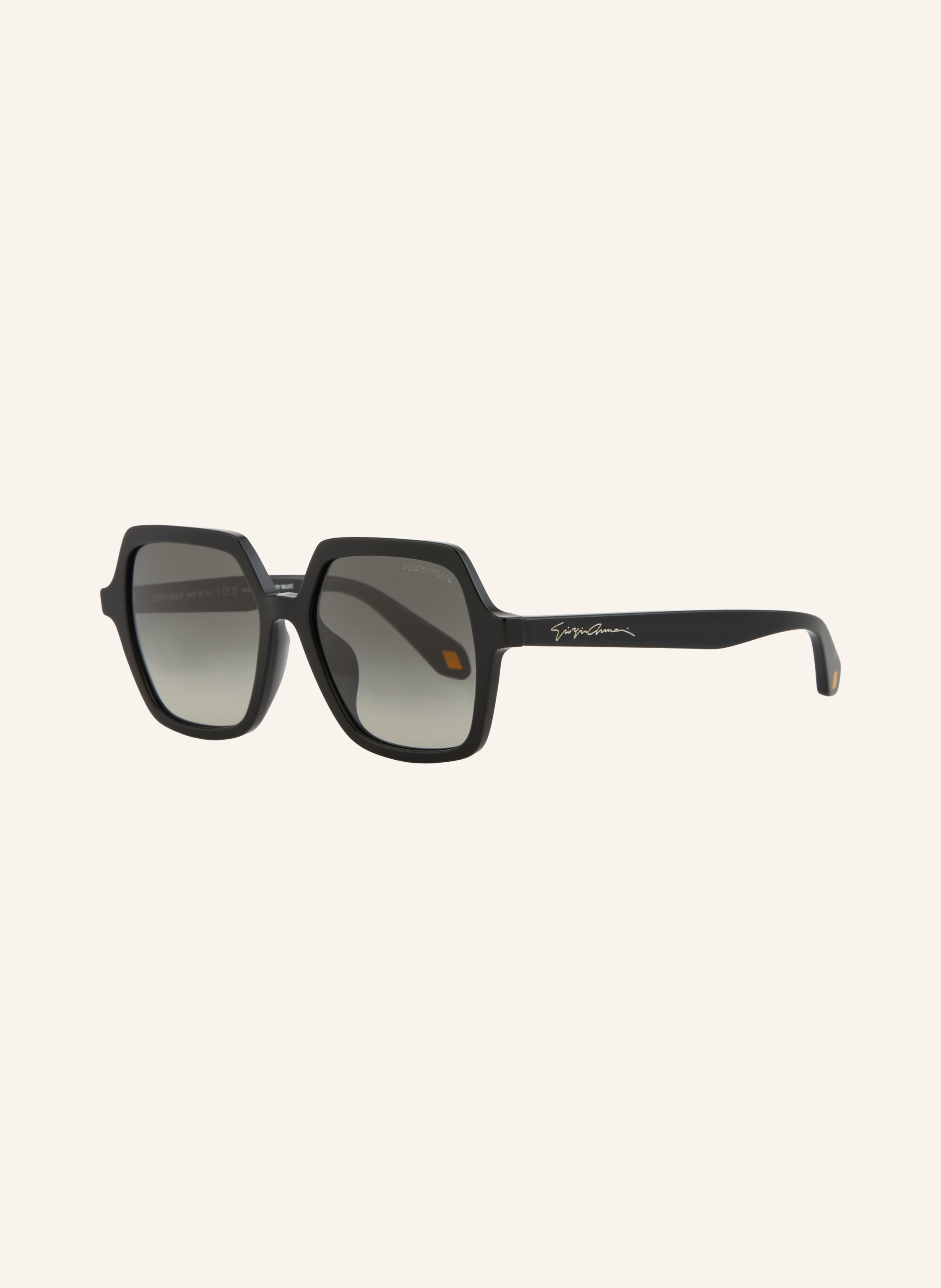 GIORGIO ARMANI Sonnenbrille AR8193U