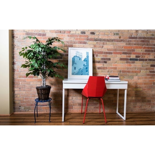 4' Green Ficus Bush