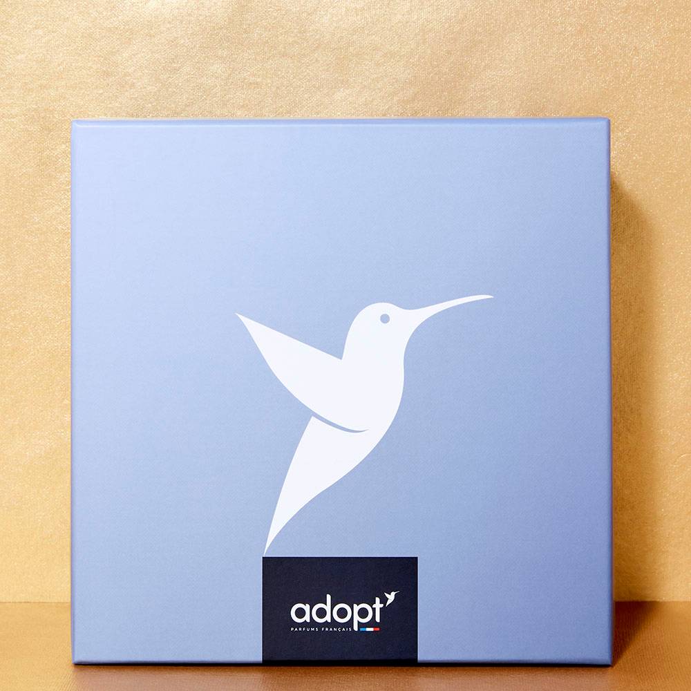 Boîte cadeauGrande taille bleu