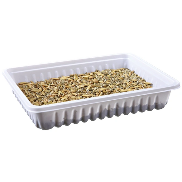 Kleintiergras, 100 g, Hafer/Weizen/Gerste