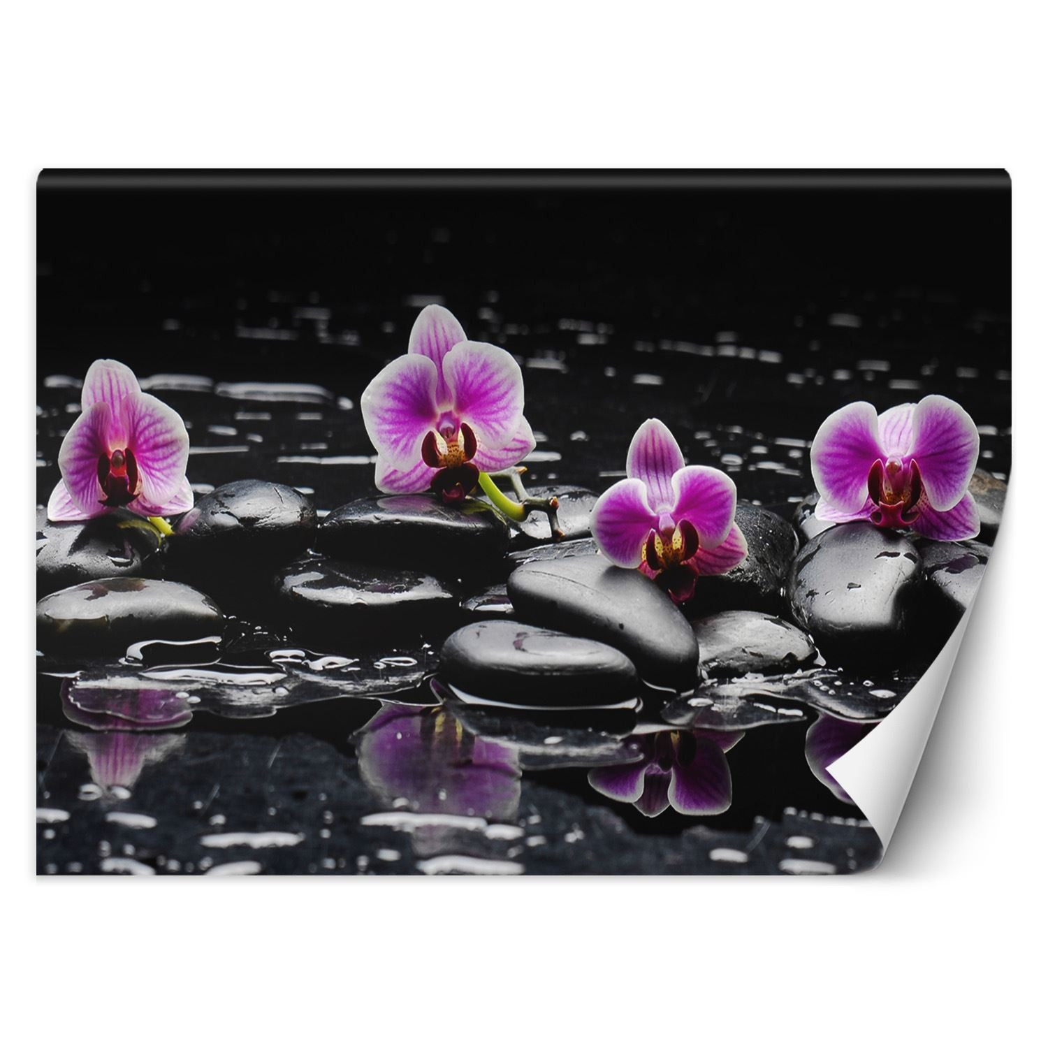 Feeby Fototapeta, Kamienie zen orchidea 150x105
