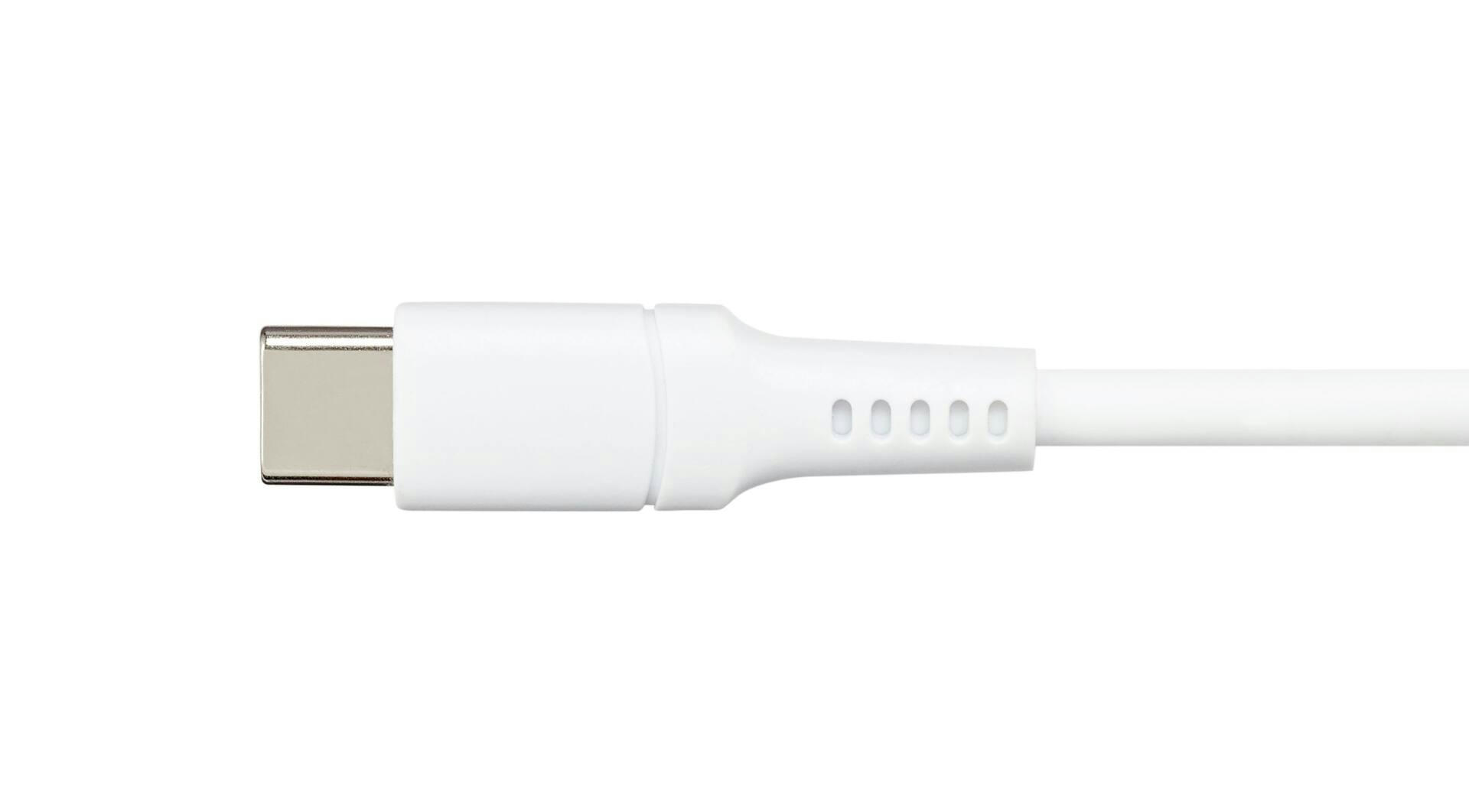 Bluehive Soft Silicone Type C Cable, 6-ft