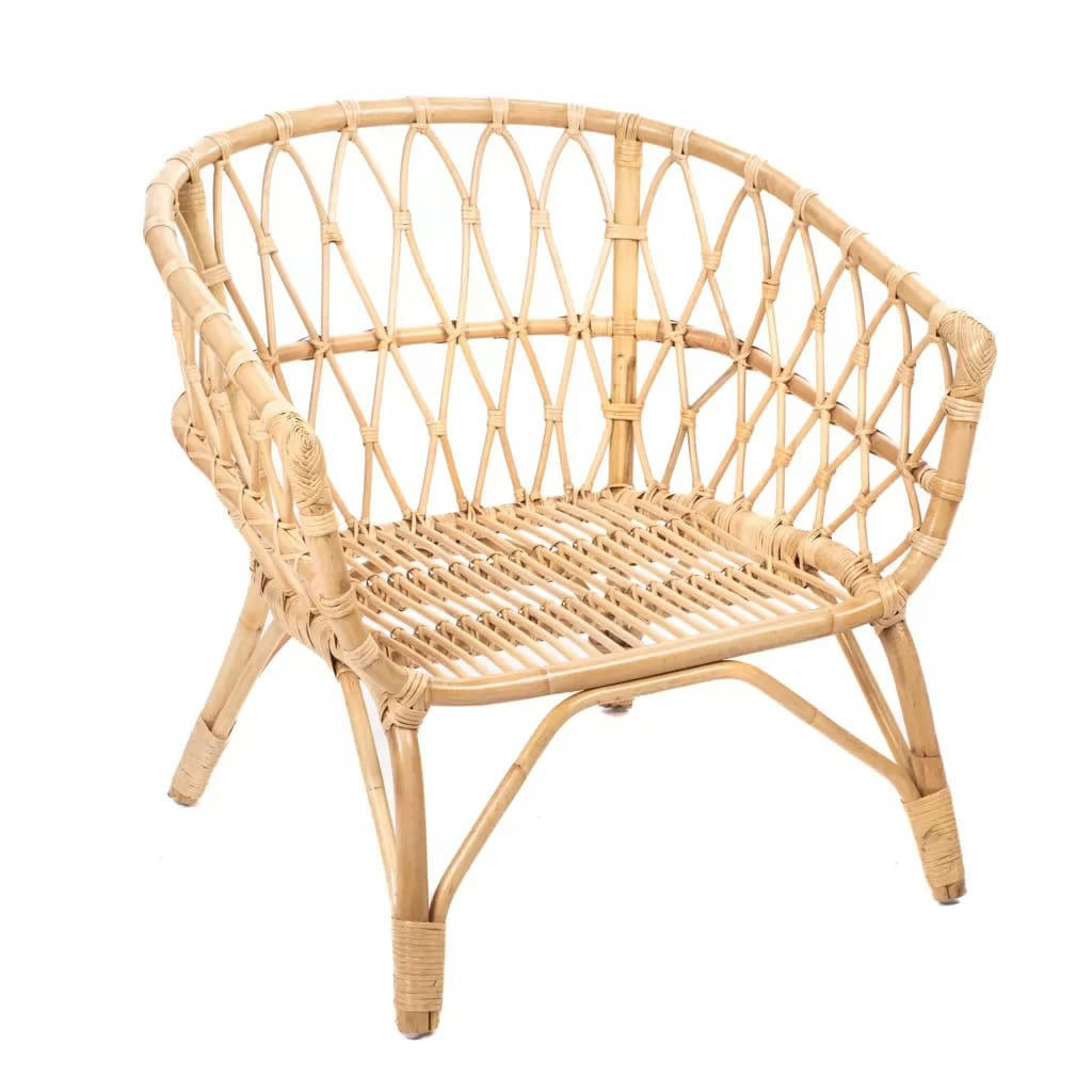 LESKY - Fauteuil en rotin avec 2 coussins