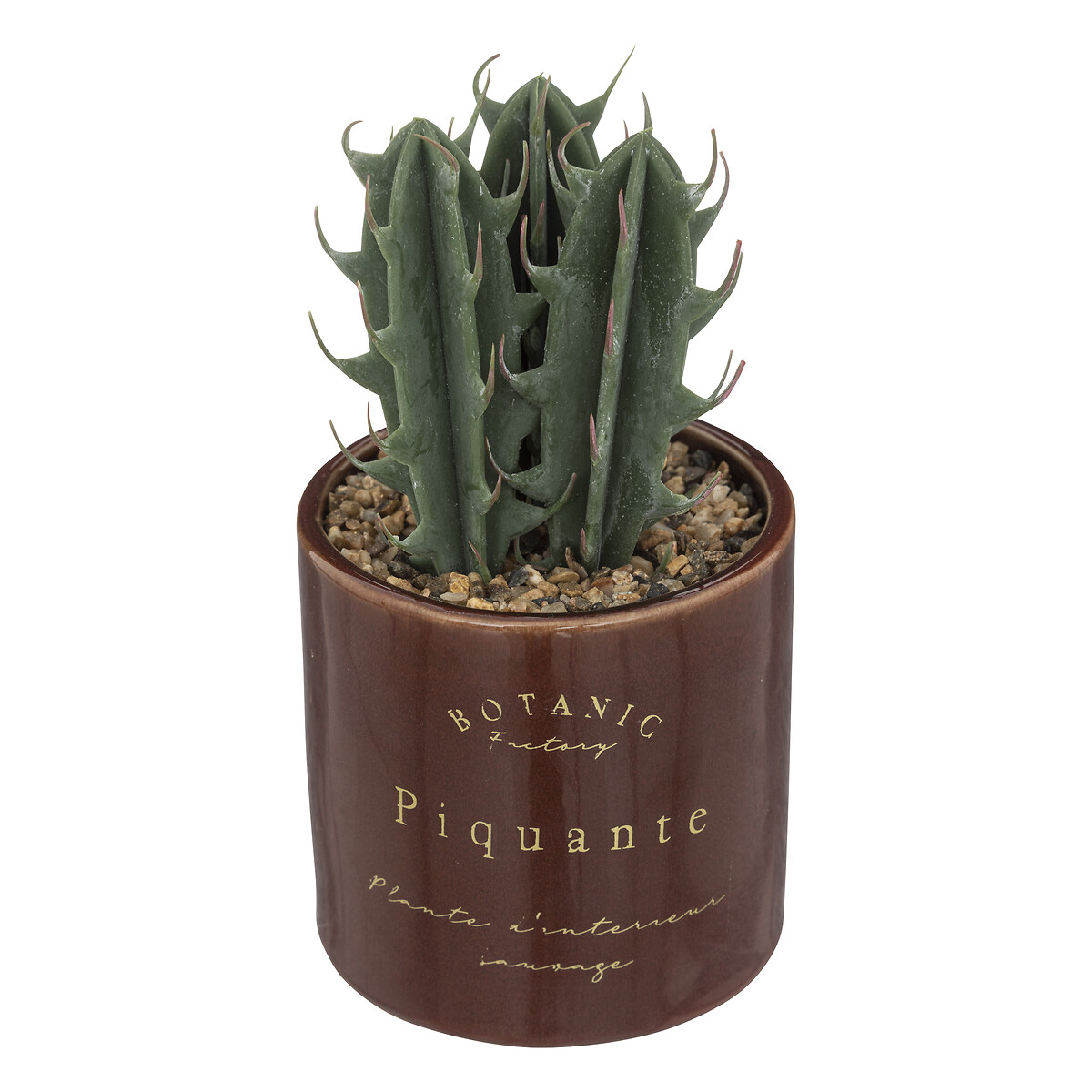 Artificial plant "Bota" Brown, H.10 cm