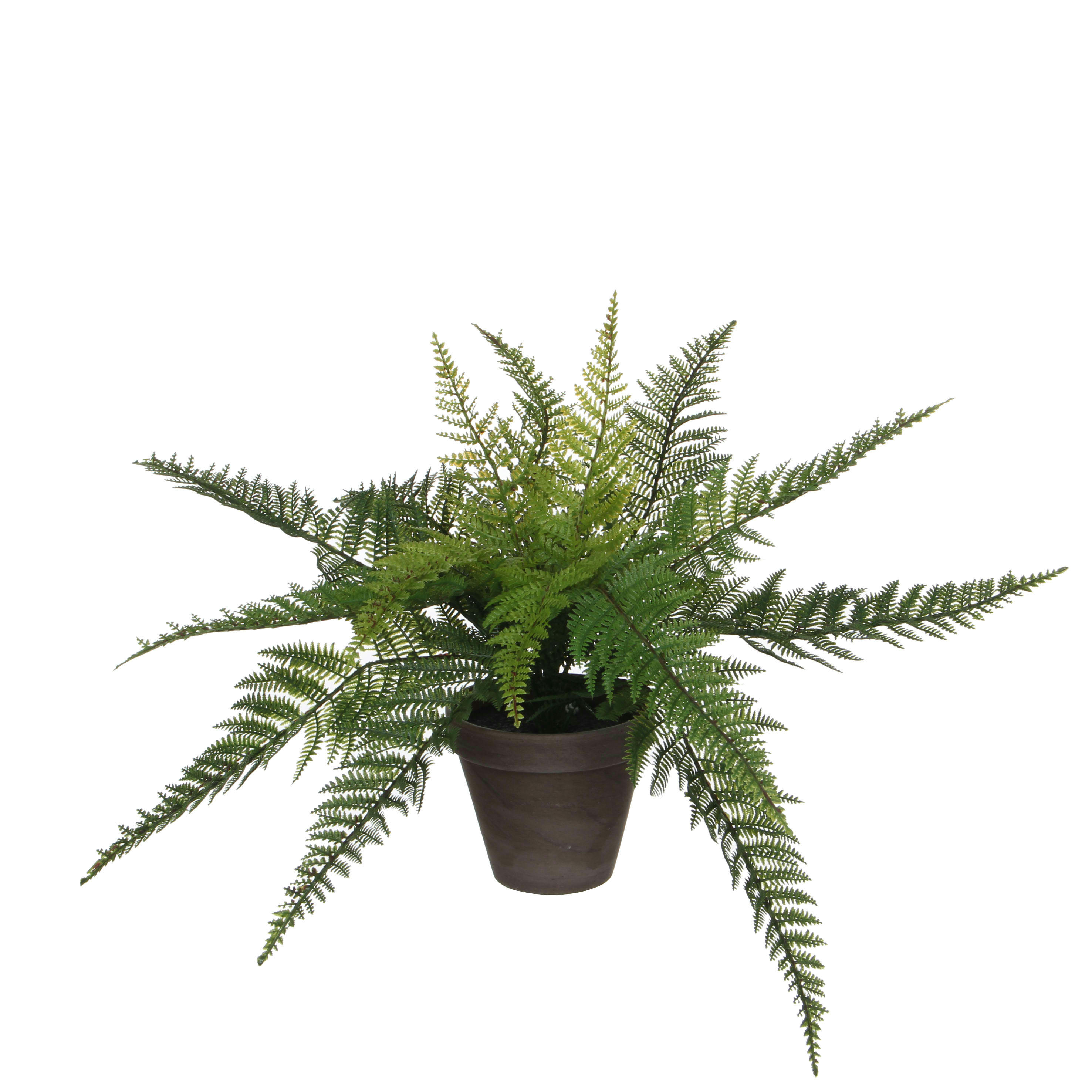 FERN - Fougère artificielle en pot H38