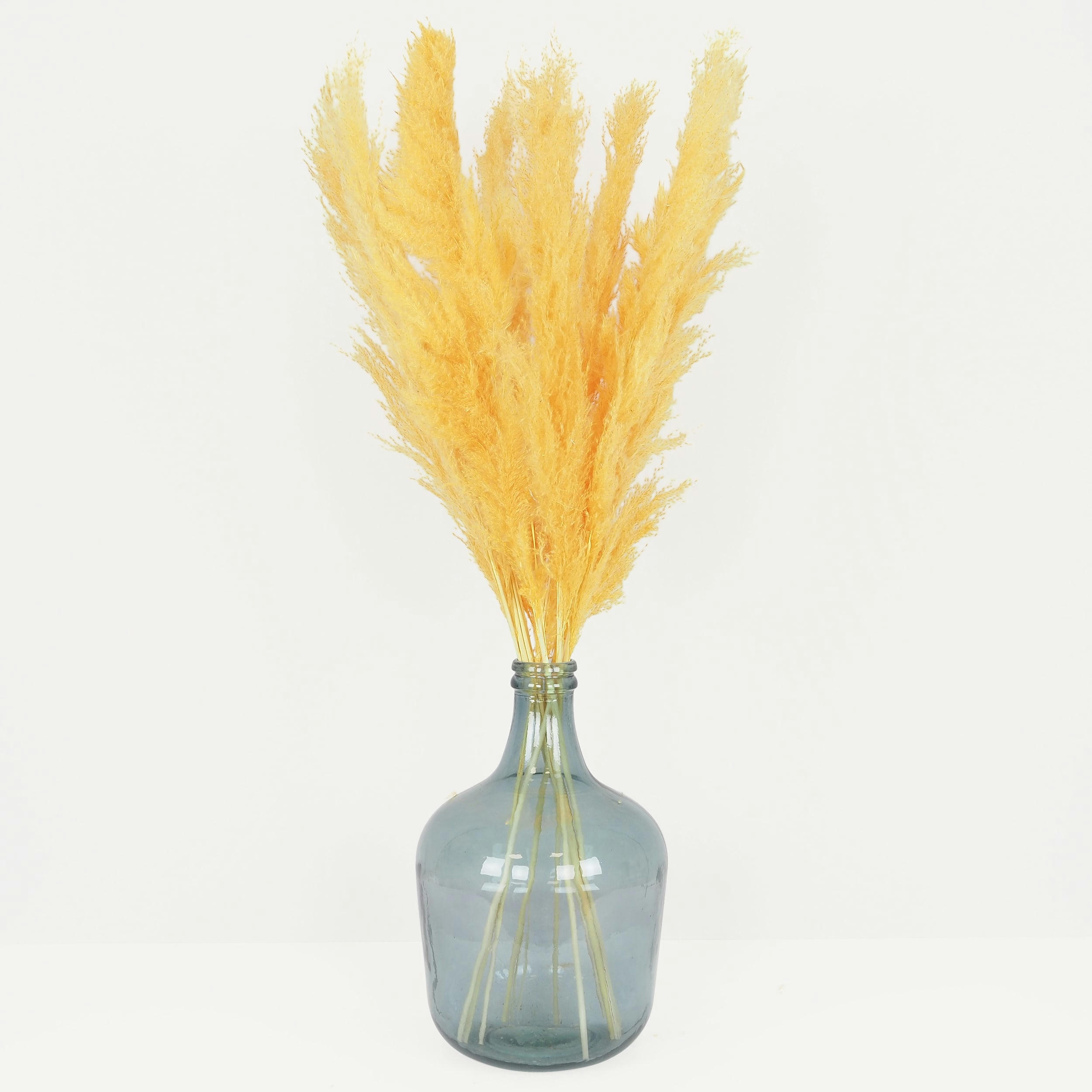 - Plumeau plante pampa lot de 9 jaune 110cm