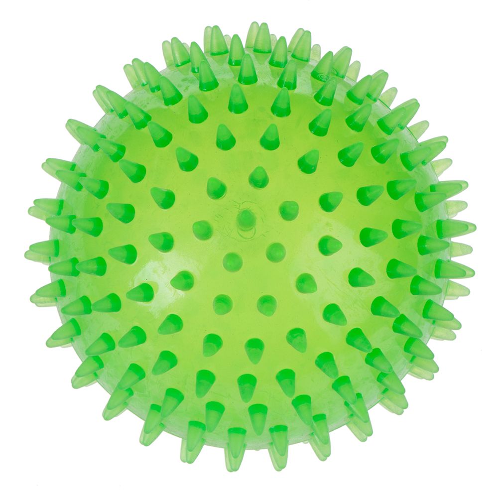 Large Spiky Ball Dog Toy