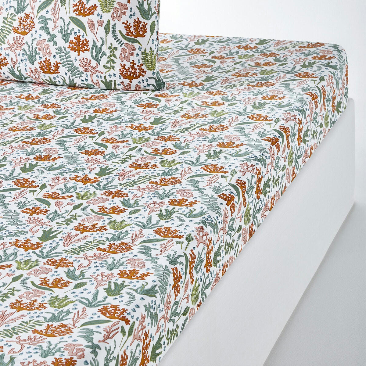 Drap housse coton, Lara