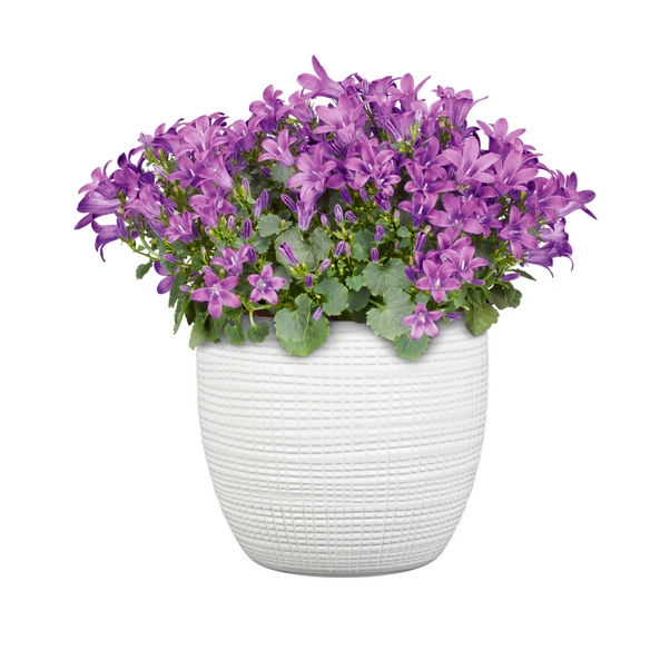 Pflanztopf »Corteza«, Durchmesser: 14 cm, weiß, Keramik