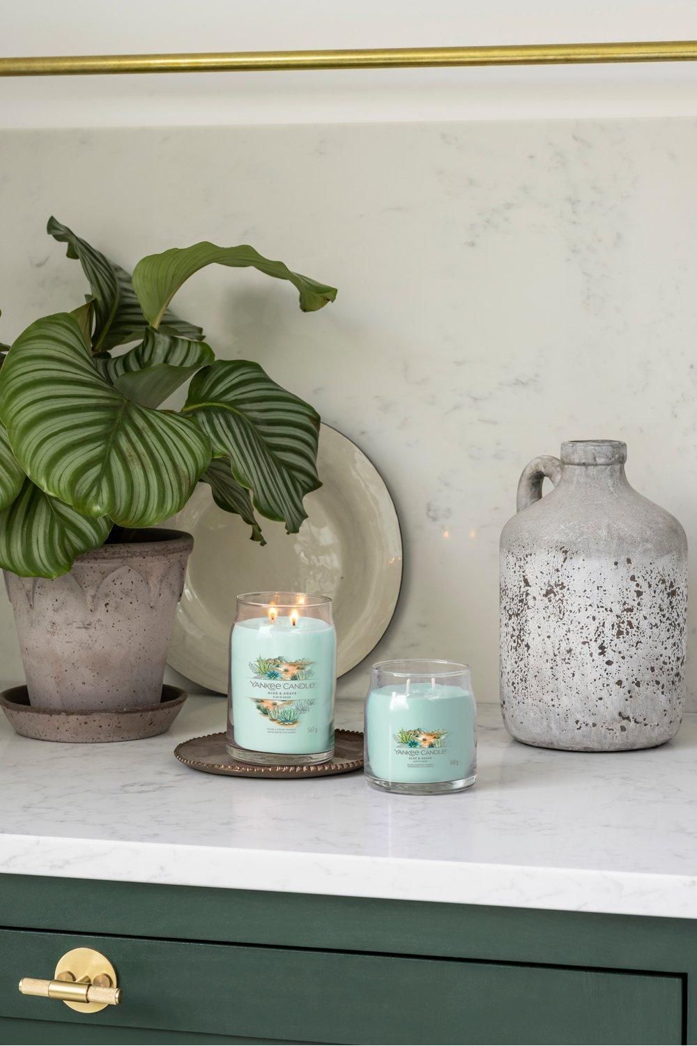 Yankee Candle Signature medium jar aloe & agave