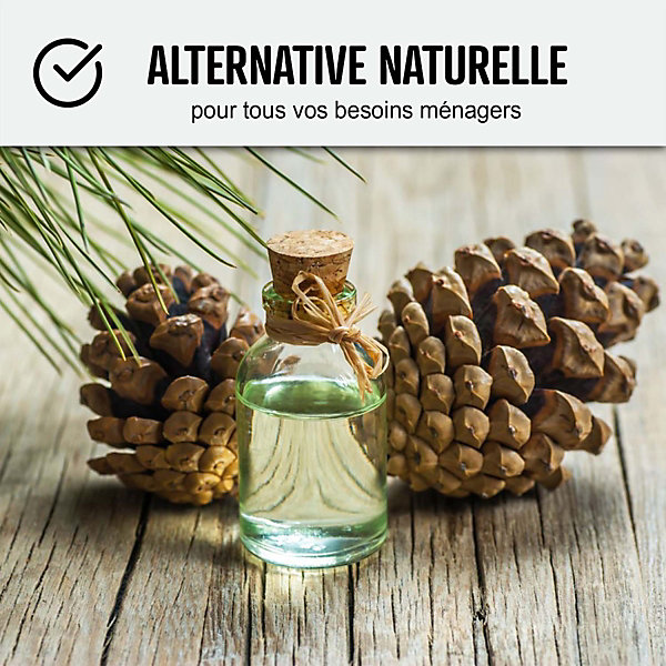 Essence de térébenthine pure gemme bois : TEREBENTHINE 101- 5 L - ARCANE INDUSTRIES