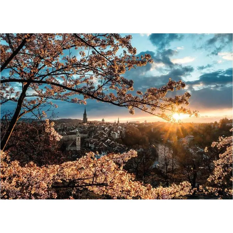 Puzzle Kirschblüten in Bern