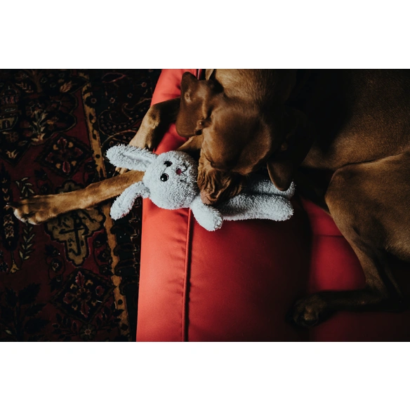 Hundespielzeug, mehrfarbig