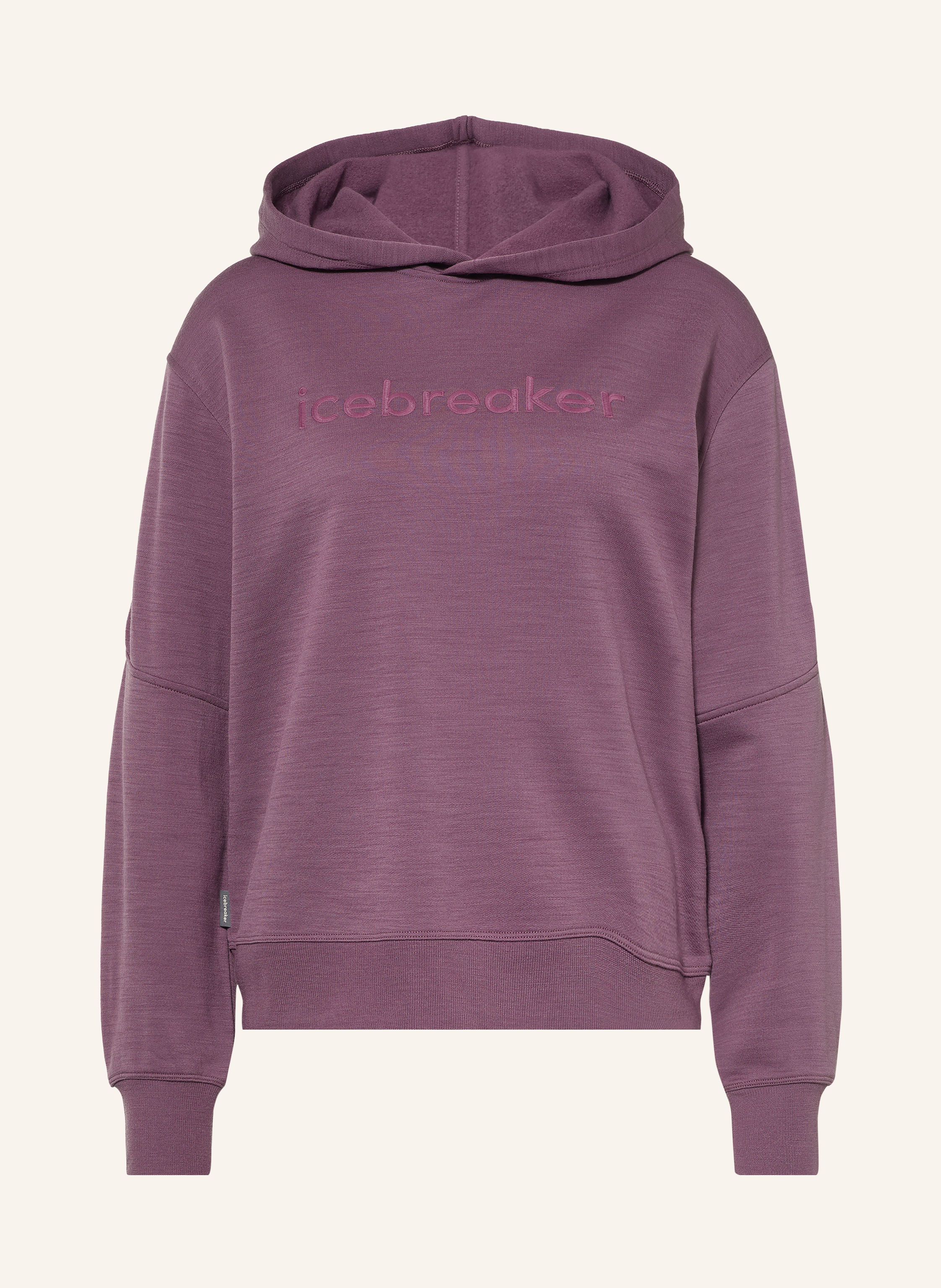 icebreaker Hoodie 360 REALFLEECE ELEMENTAL aus Merinowolle