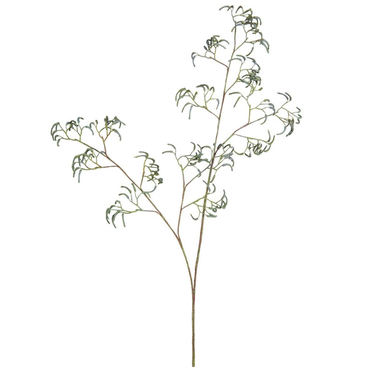 - Tige de cèdre H85