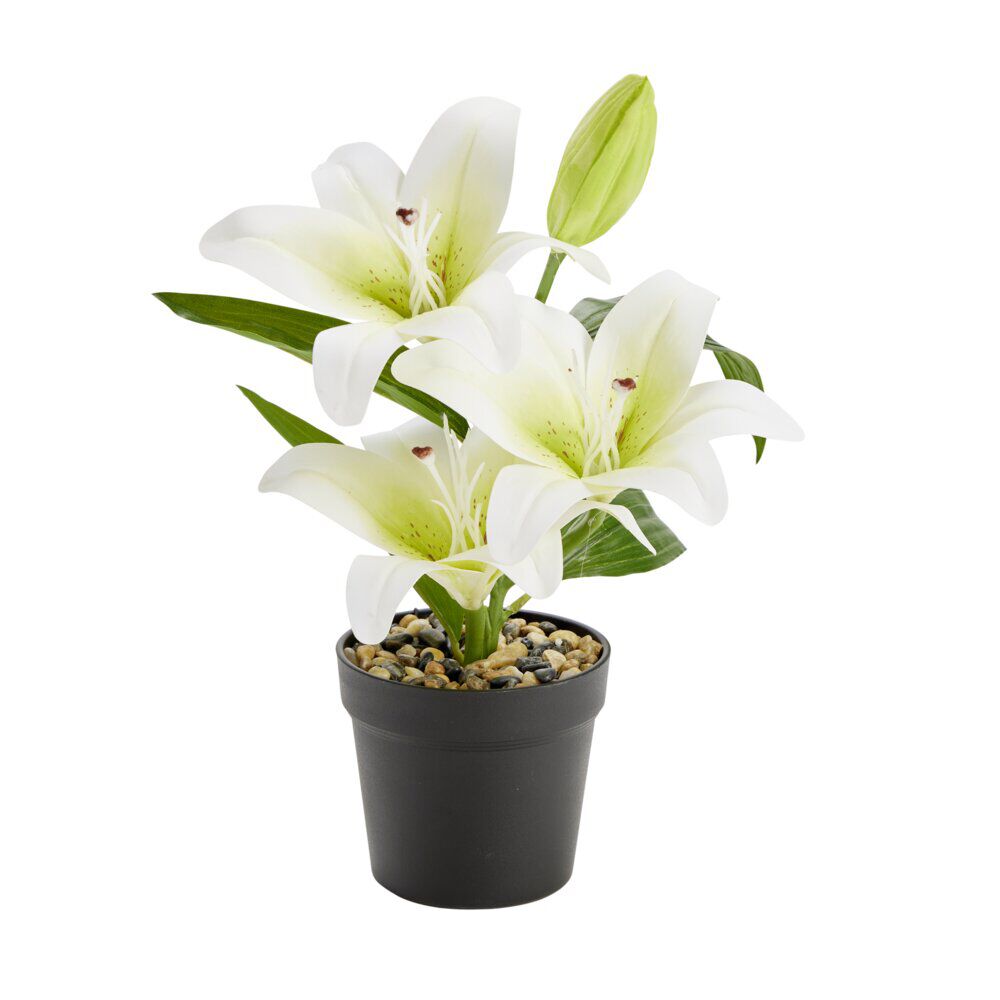 Fleurs artificielles lys blancs pot plastique noir Ø11xH38cm