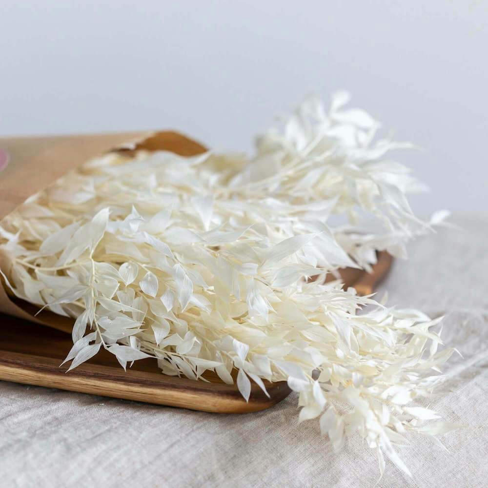 - Botte Ruscus blanc