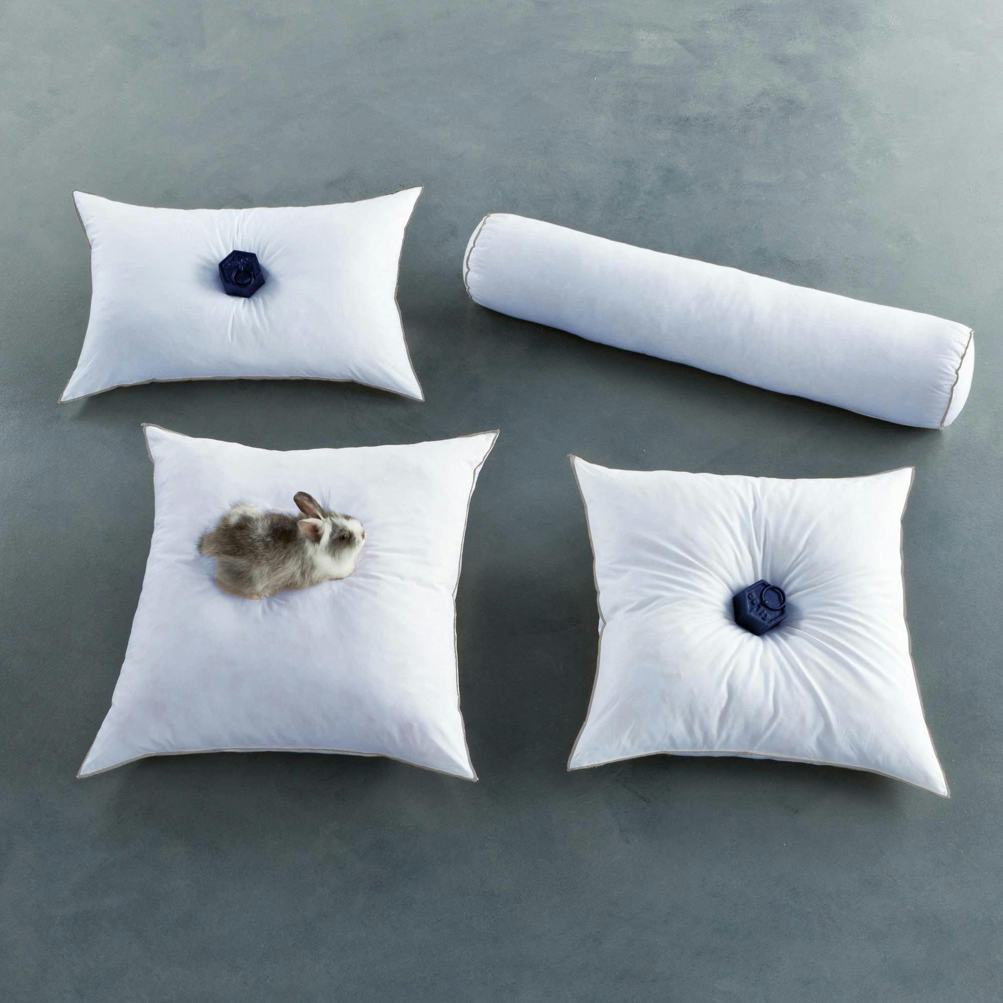 HOLLOFLEX SANITIZED - Oreiller ferme 65x65 blanc en coton