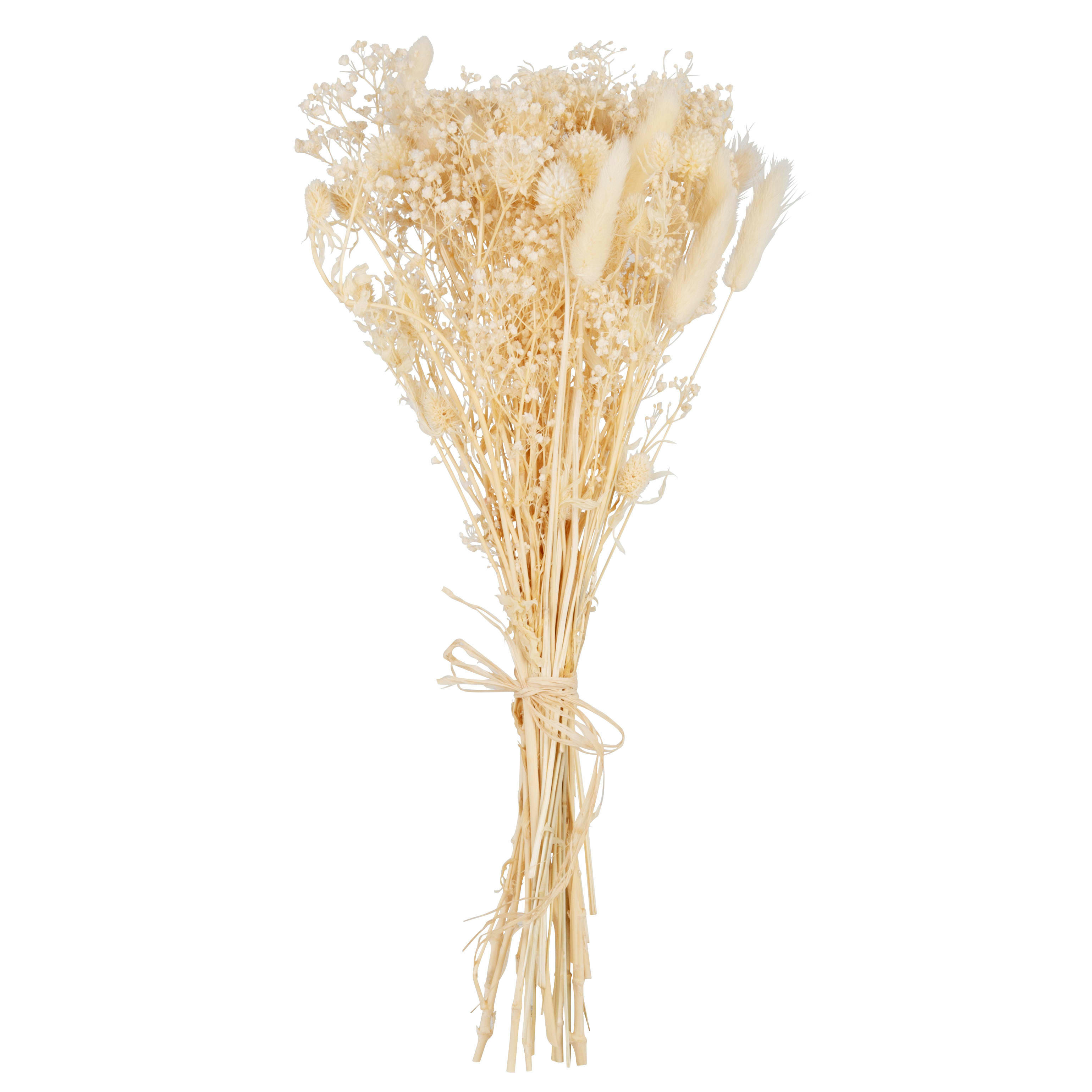 EVA - Bouquet de fleurs séchées écrues