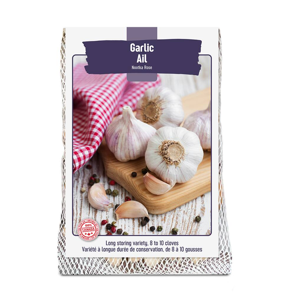 Bulbs Are Easy, Nootka Rose Fall Garlic Bulbs, Ready to Plant for your Home Garden