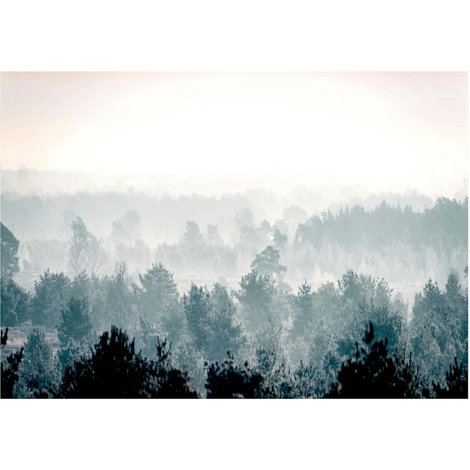 ARBRES ET FORÊT - Papier peint adhésif Forêt d'hiver 392 x 280 cm