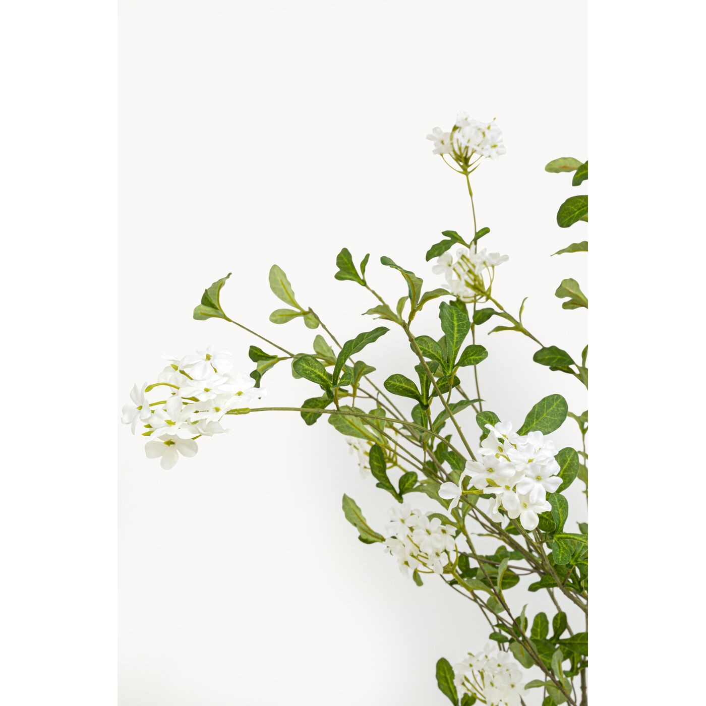 Decoratie plant Plumbago 152cm Kare Design